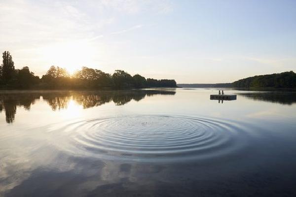 Ripple‘s Effect on Financial Advisors