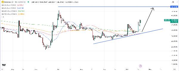 Bitcoin SV Price Prediction as Price Surges Over 10: Is the Bullish Rally Set to Continue?